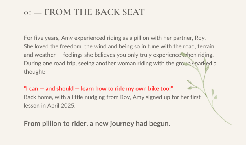 from-the-back-seat